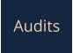 Audits